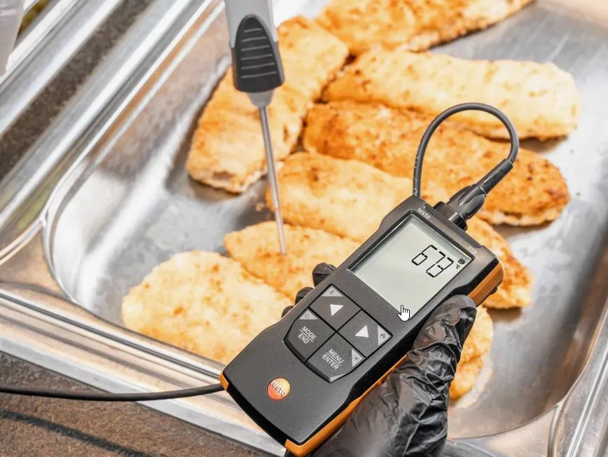 Термометр Testo 110 контактный одноканальный цифровой (Арт: 0563 0110)