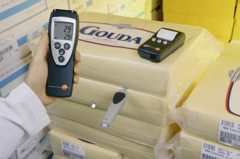 Testo 110 одноканальный цифровой термометр для высокоточного мониторинга (Арт: 0560 1108)