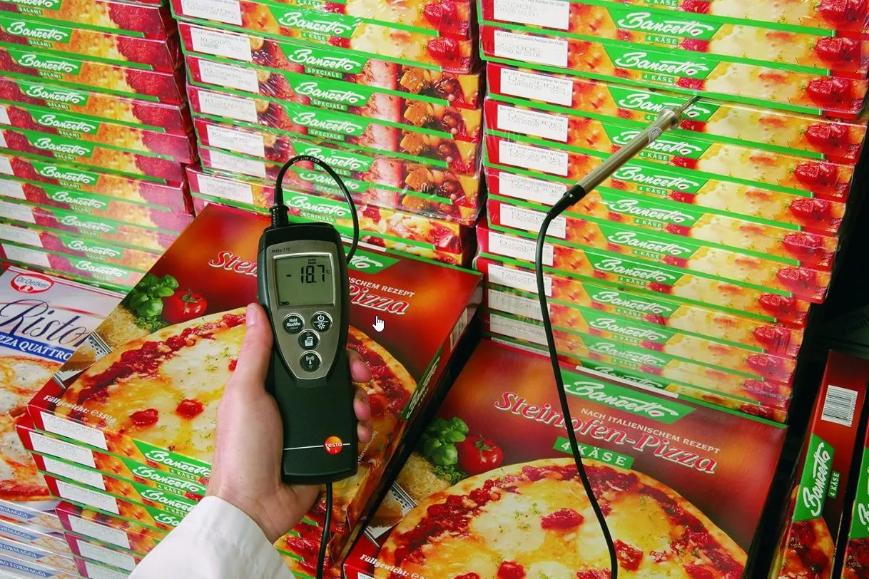 Testo 110 одноканальный цифровой термометр для высокоточного мониторинга (Арт: 0560 1108)